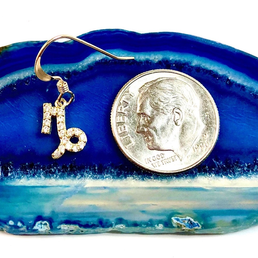 Capricorn Earrings, Constellation, Zodiac - Picture 3 of 6